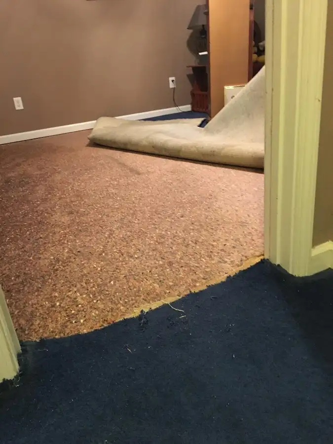 Carpet pad removal revealing water damage during Drying & Dehumidification in East Fishkill